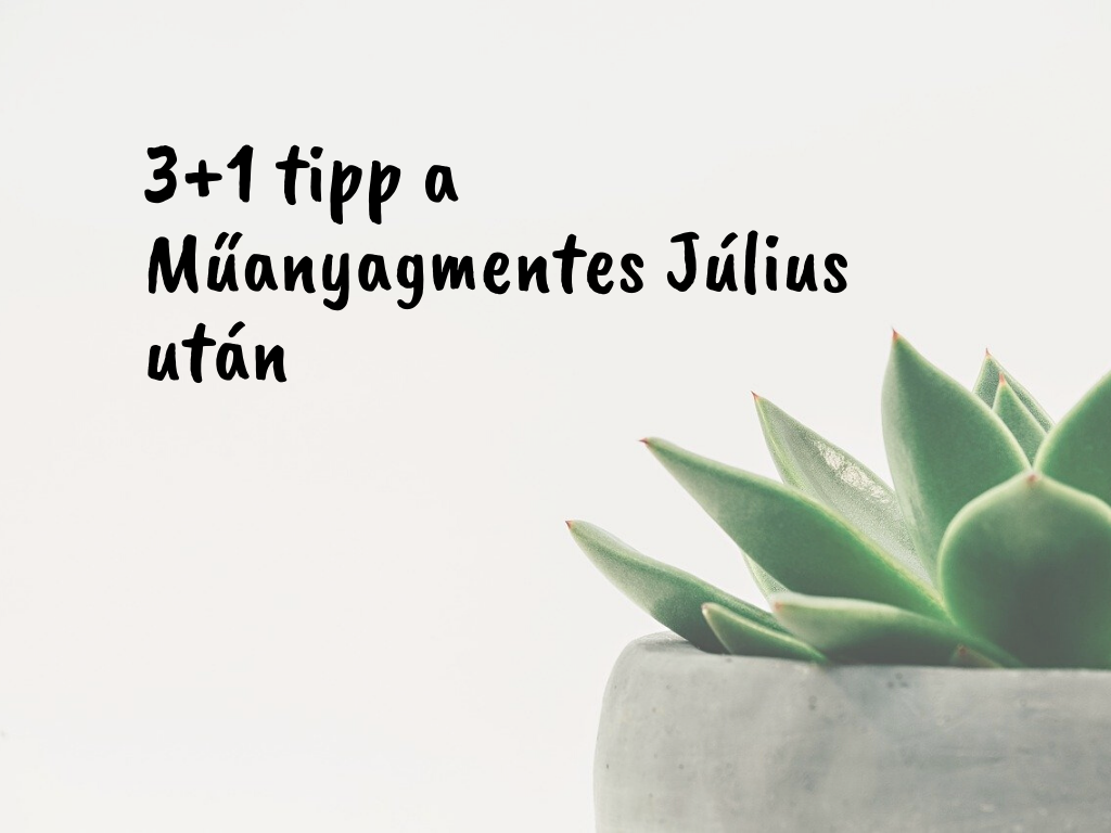 Élet a Műanyagmentes Július után