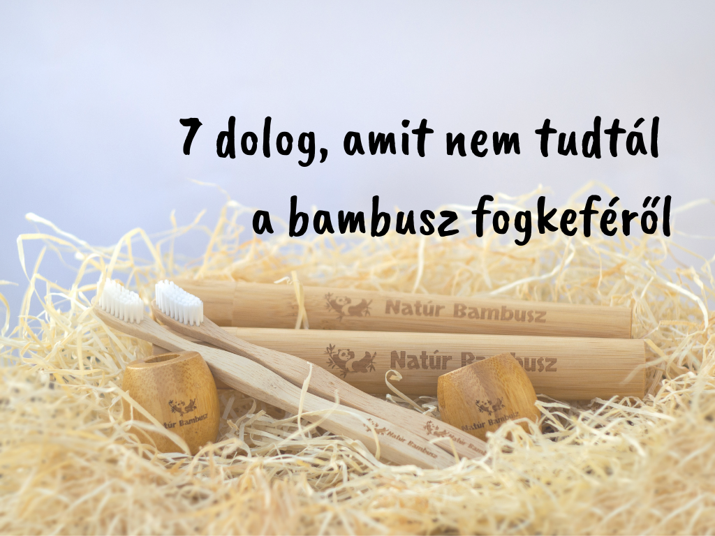 7 dolog a bambusz fogkeféről